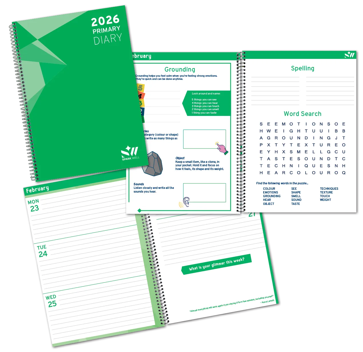 Primary School Diary Activities and Layouts